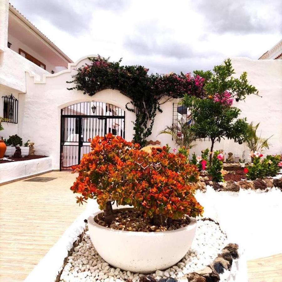 91 Port Royale Los Cristianos Los Cristianos  Exterior foto